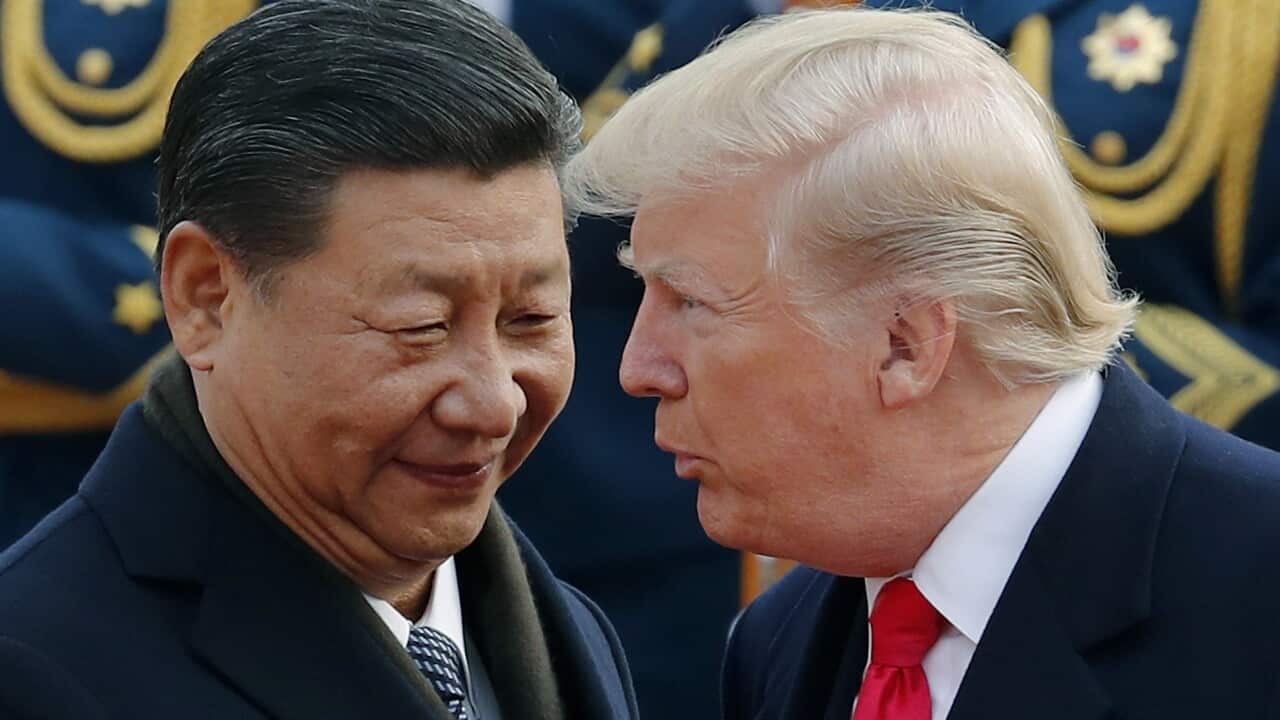 Donald Trump,Xi Jinping