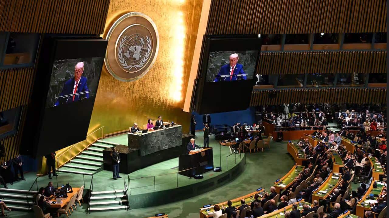 unga DT.JPG
