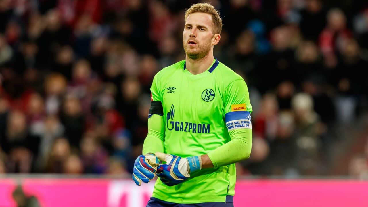 Schalke Domenico Tedesco Ralf Fahrmann UEFA Champions League Manchester City Bundesliga Alexander Nubel