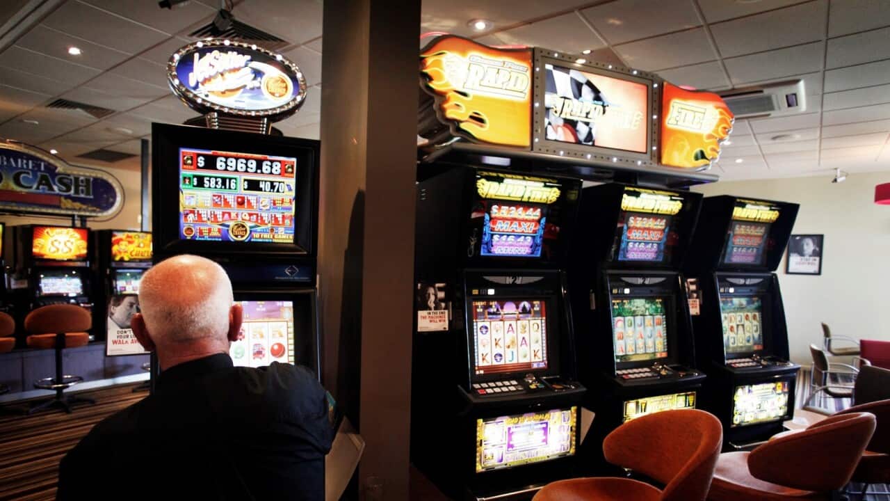 A man plays a pokie machine at a club in Altona, Melbourne on Tuesday, Jan. 24, 2012. (AAP Image/Paul Jeffers) NO ARCHIVING