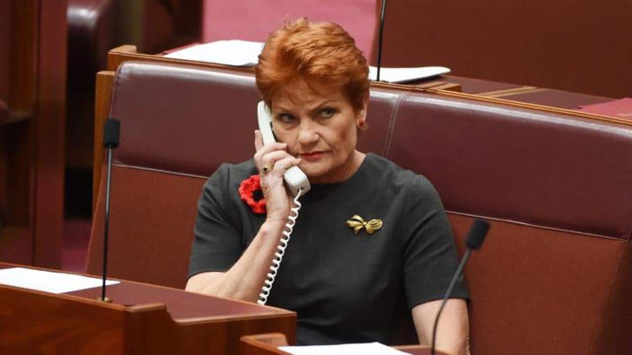 Pauline Hanson ... sees Trump's path as similar to hers