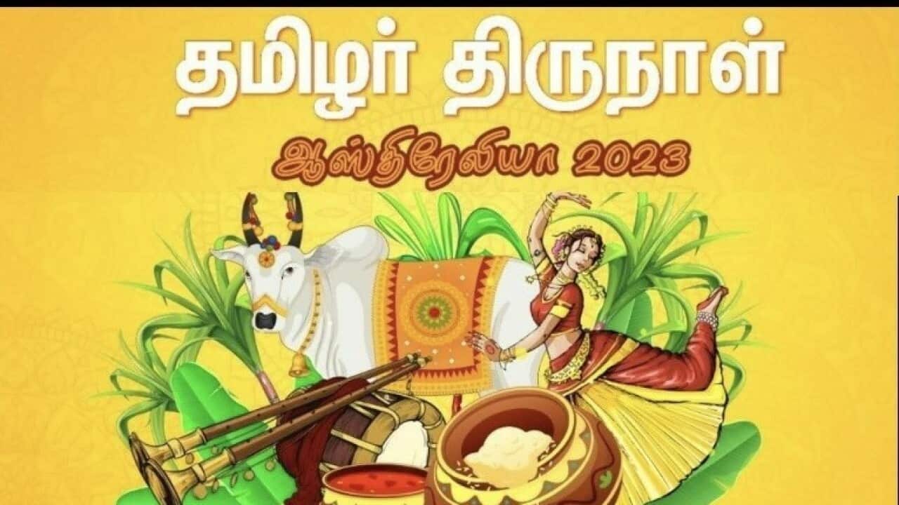 thamilar pongal.jpg