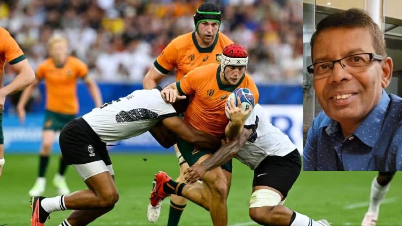 Rugby World cup.jpg