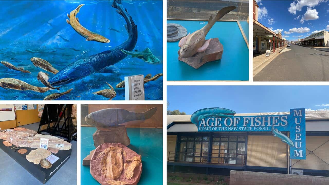 tour of Australia's remote countryside - Canowindra