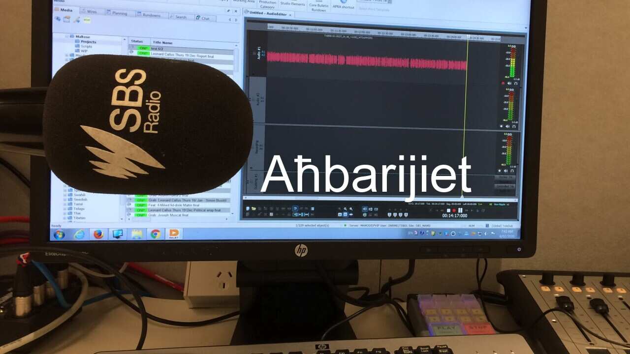 Maltese News