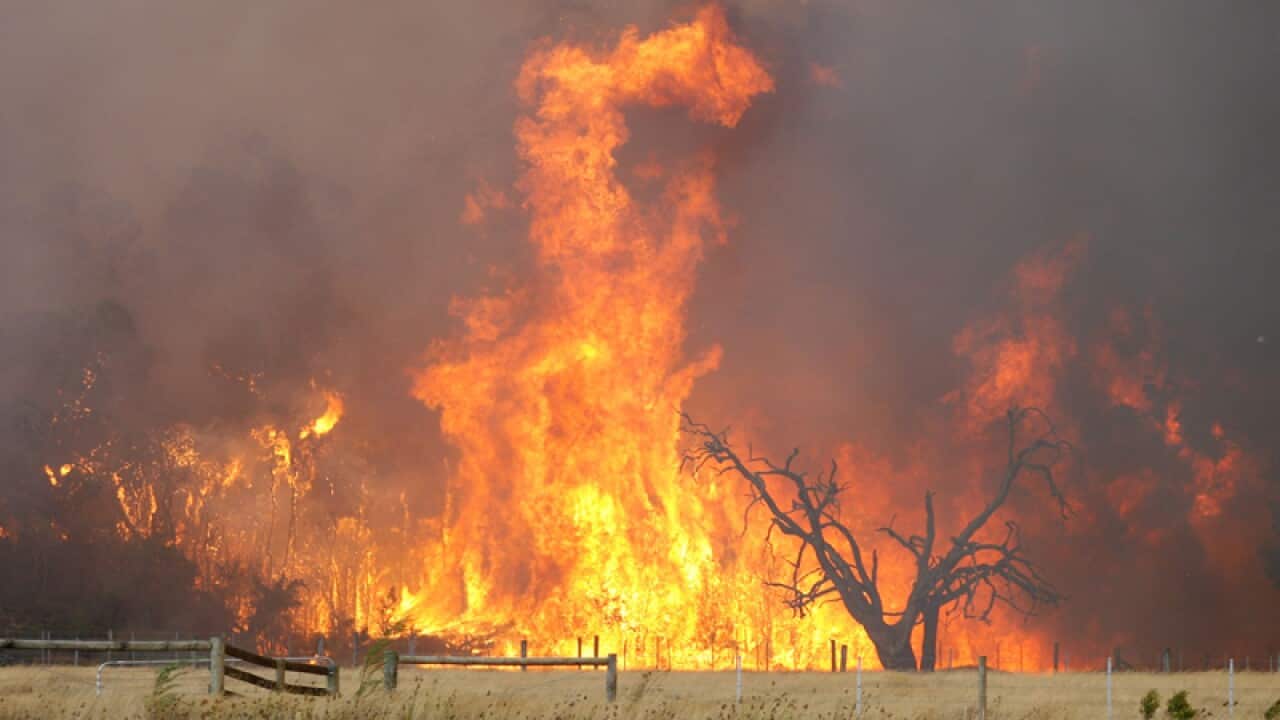 Black Saturday Bushfires.
