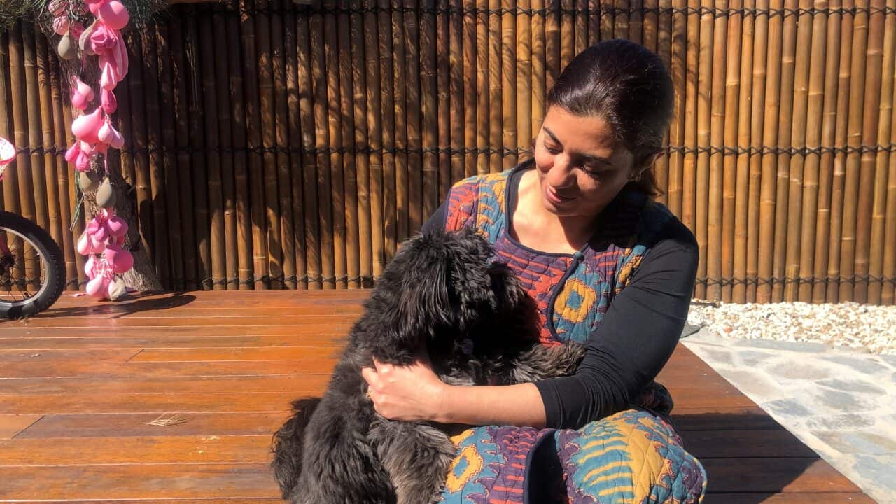 Image for read more article 'Also Read'