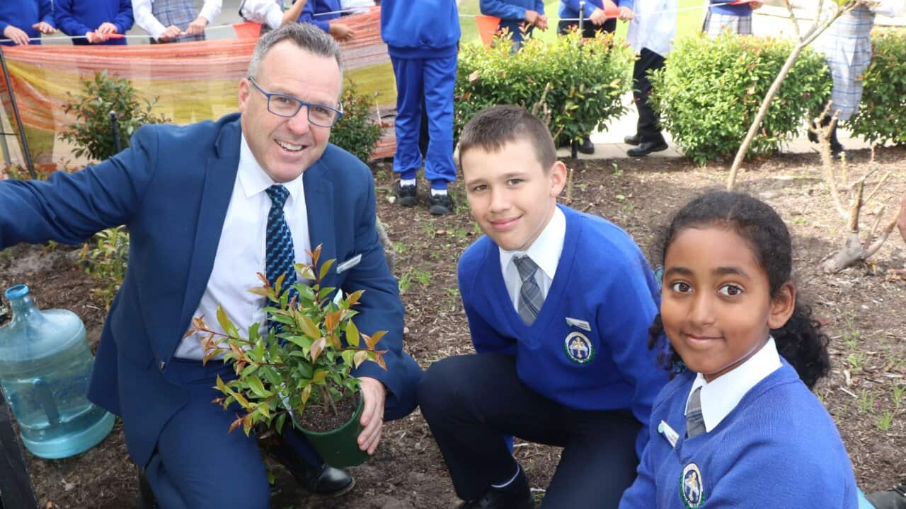 From the tree planting activity at St Andrews Grammar School