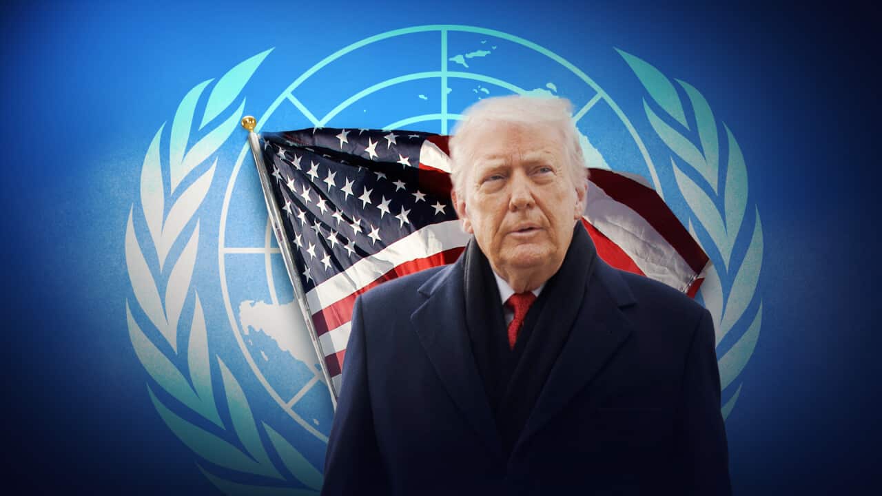 Artwork of Donald Trump set against a background of a US and a UN flag