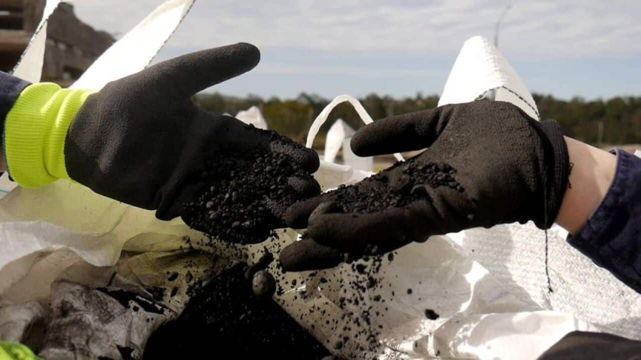 Energy from poo
