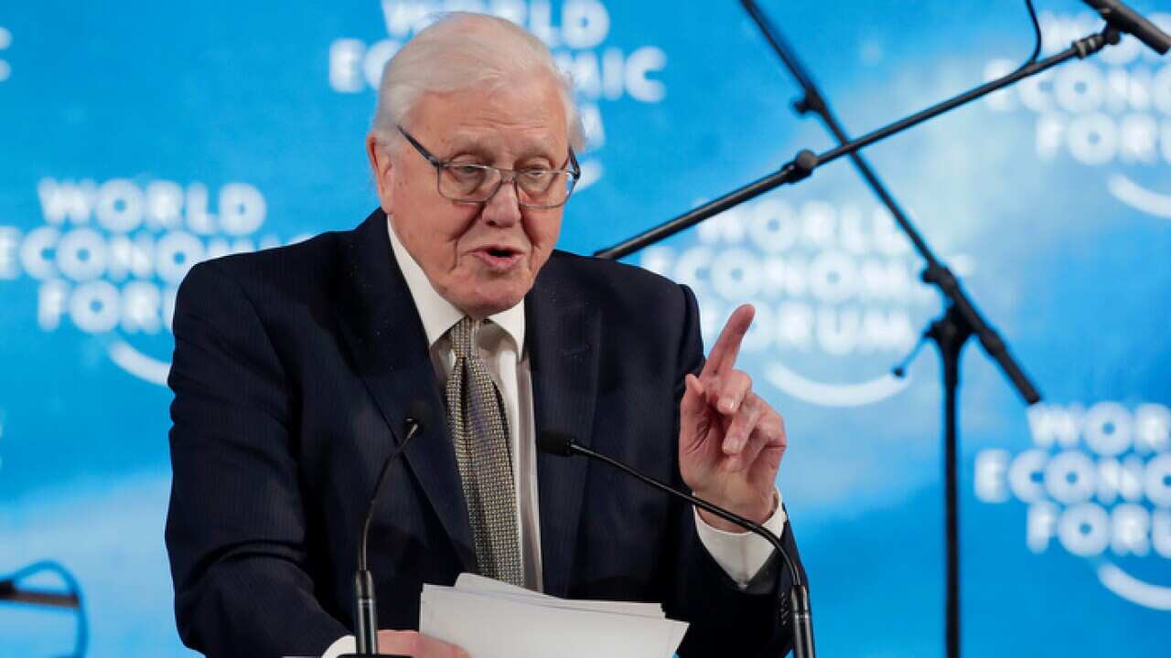 Sir David Attenborough, broadcaster and natural historian gestures as speaks after receiving a Crystal Award during a ceremony at the annual meeting of the World Economic Forum in Davos, Switzerland, Monday, Jan. 21, 2019. (AP Photo/Markus Schreiber)