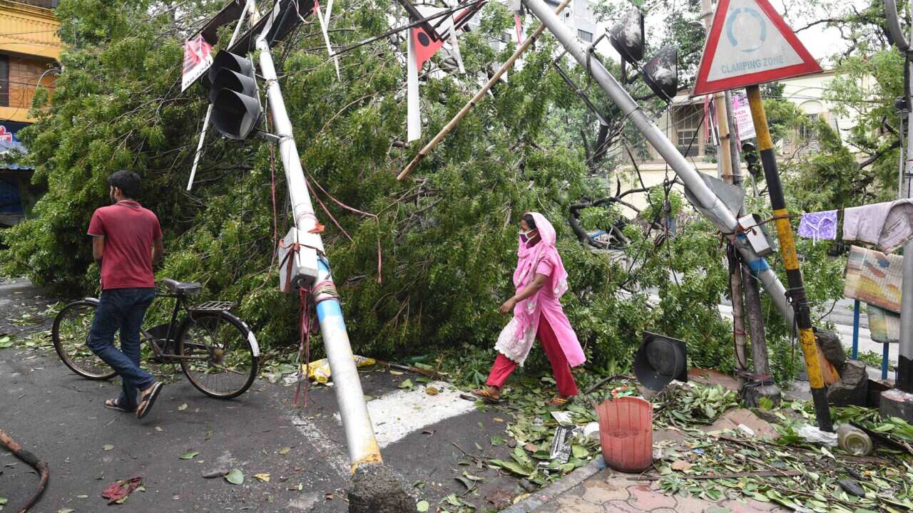 Trees and power lines damaged after Cyclone Amphan