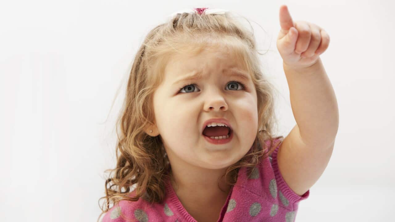 Caucasian toddler pointing