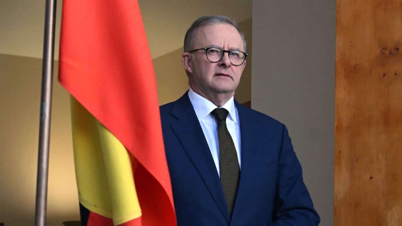 ANTHONY ALBANESE PRESSER