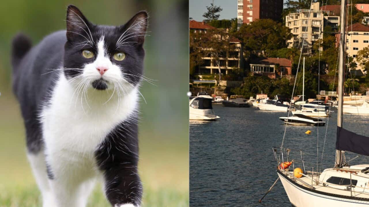 Image for read more article ''