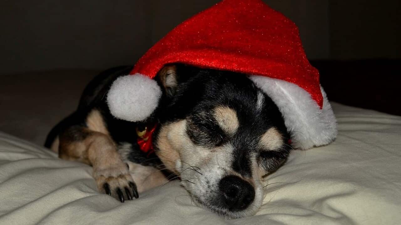 Image for read more article '相關內容'