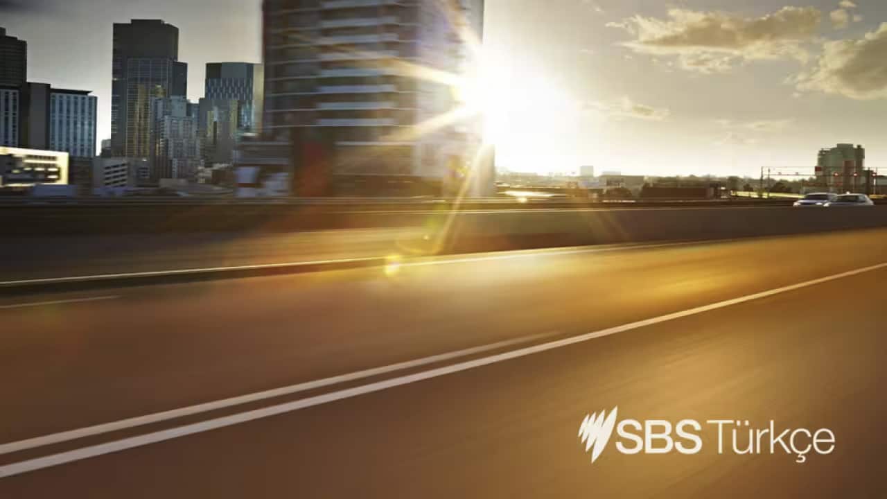 SBS sunshine .png