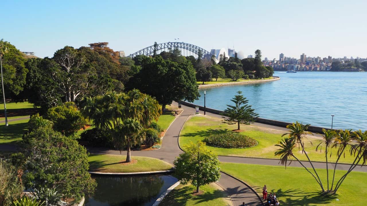 The Royal Botanic Garden, Sydney