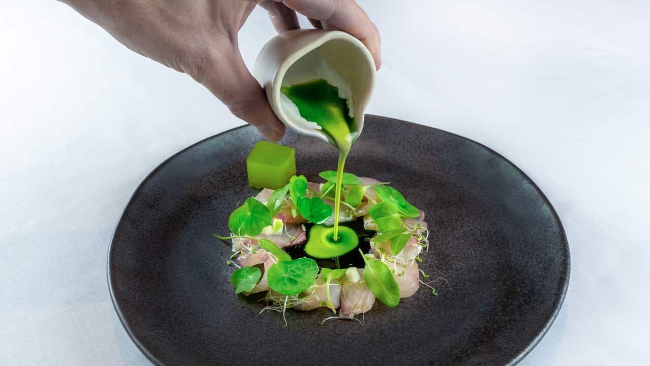 Fishing in the jungle by Francesco Mannelli