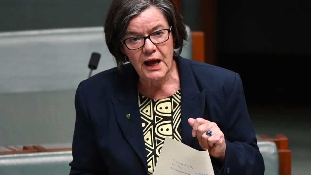 A file image of Independent Member for Indi Cathy McGowan