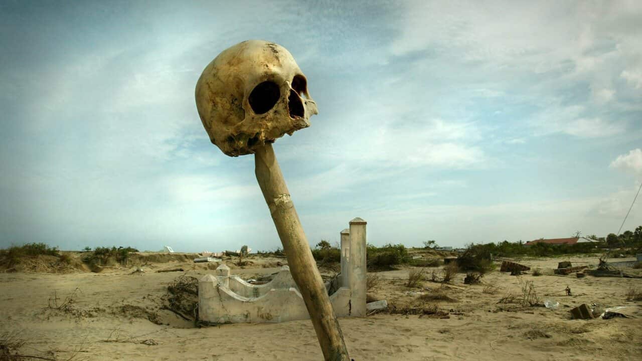 A human scull sits on top of a stick in remembrance of hundreds of human skeletons that where unearthed in this graveyard by the huge waves of the Boxing Day Tsunami that hit the east coast of Sri Lanka. In a bazaar twist of fate, the waves brought the dead to life by unearthing the graves and in the same breath, buried the living under their own house and swept hundreds out to sea. The scull was placed there by a local resident. EPA/KIM LUDBROOK