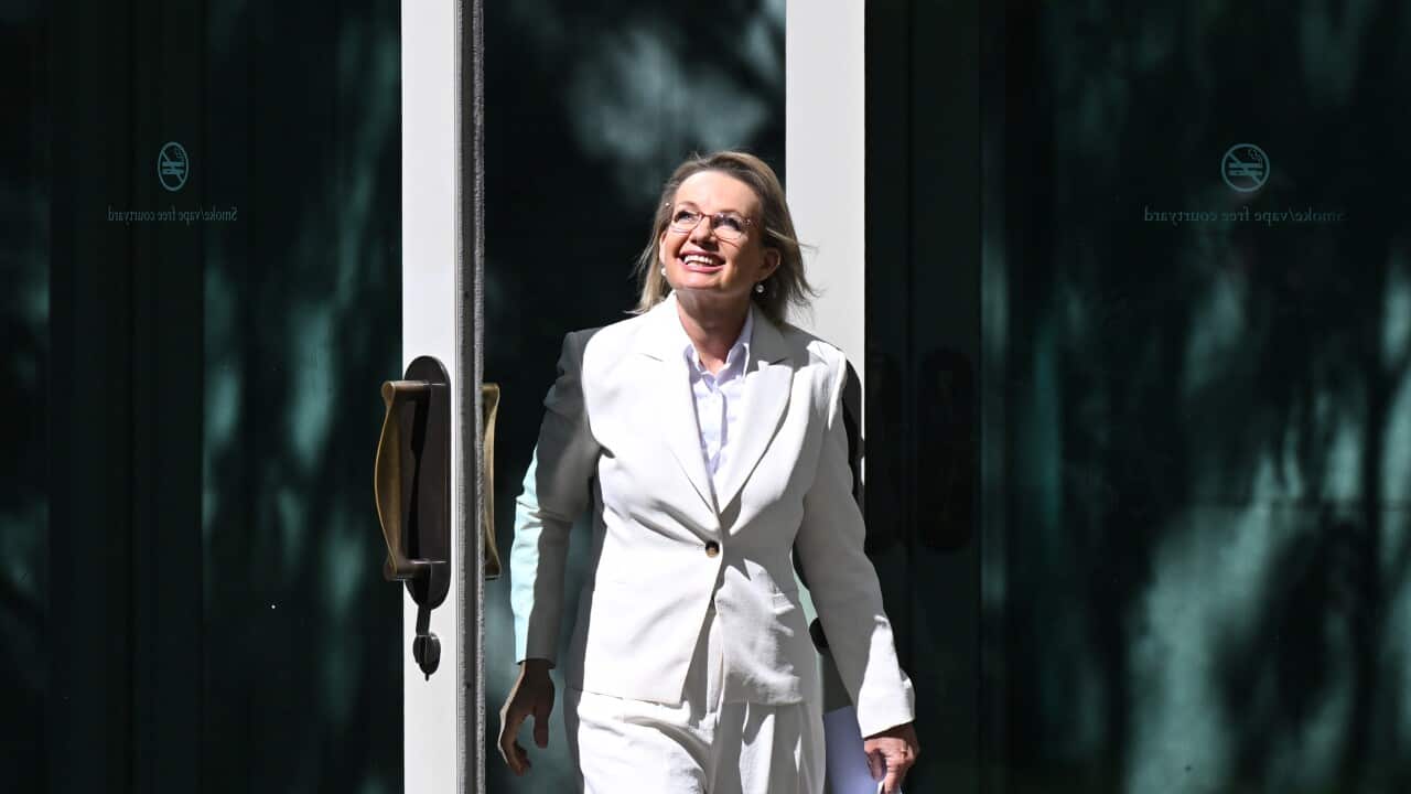 LIBERAL LEADERSHIP SPILL