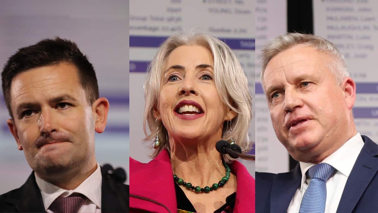 Tasmanian Election 2025.jpg