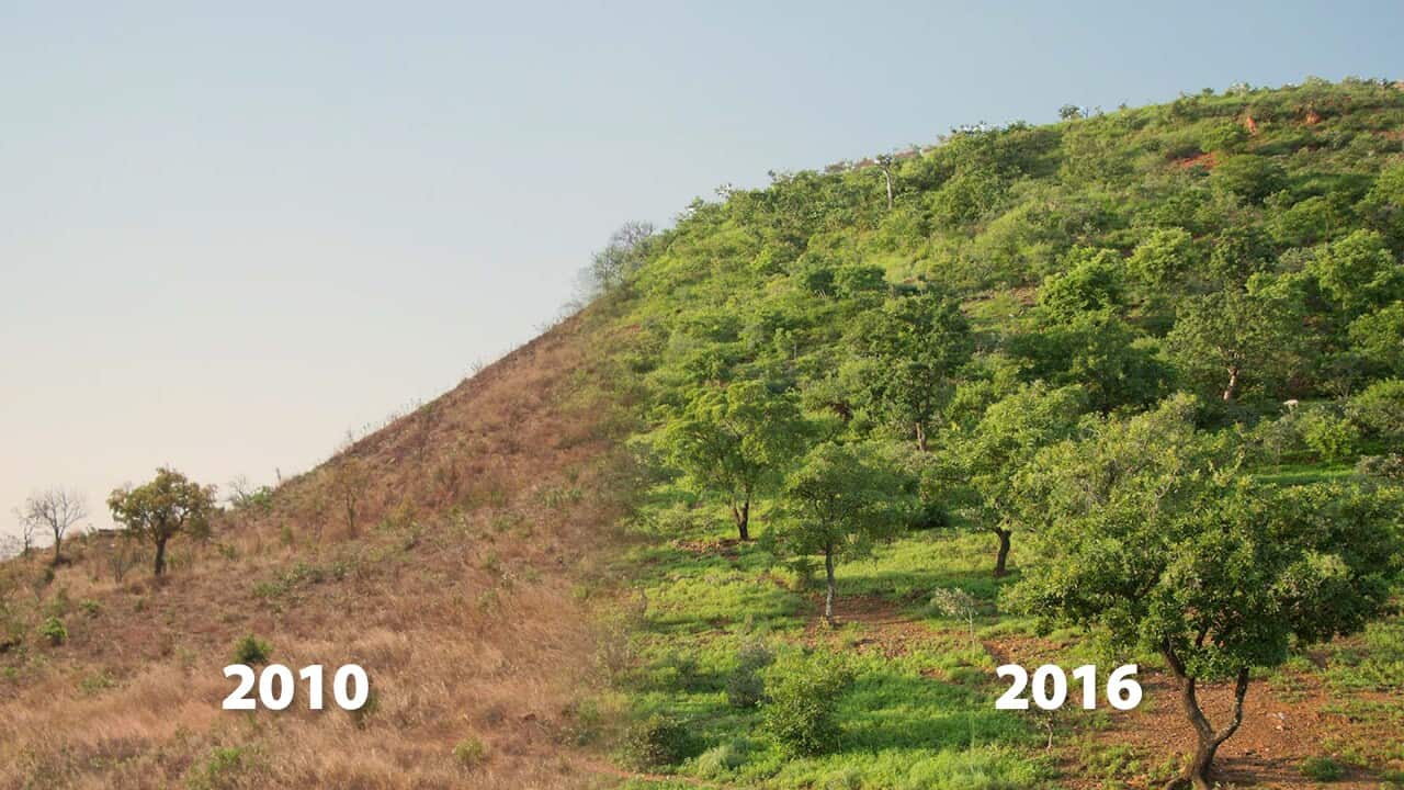 FMNR_transition_before&after 1.jpg