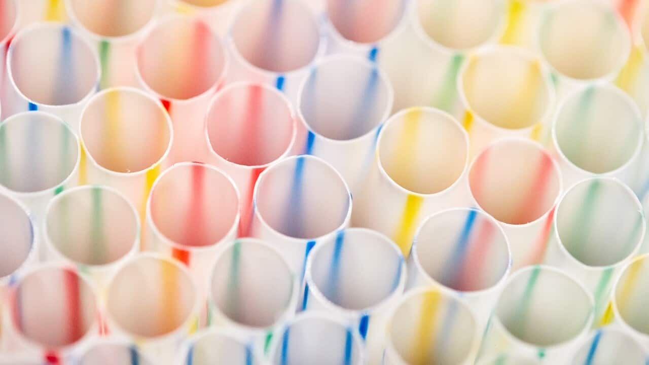 Plastic straws