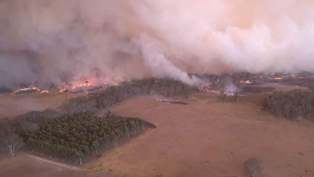BUSHFIRES VICTORIA
