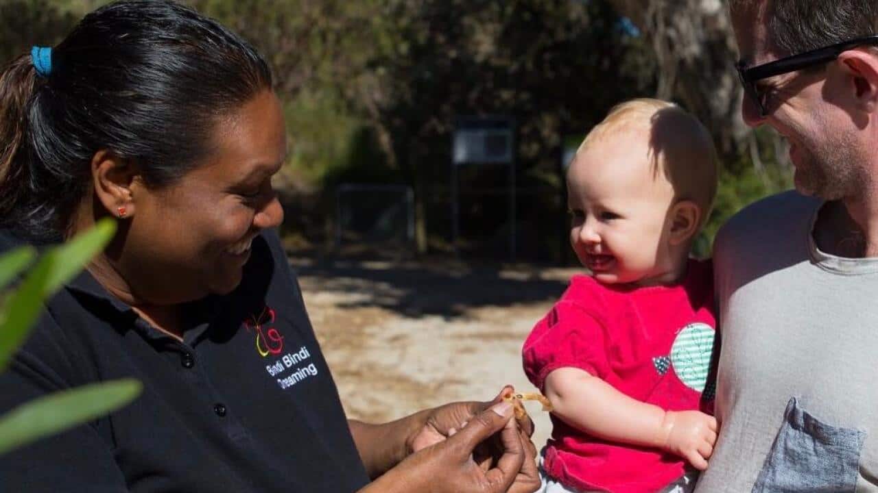 Image for read more article 'Native feast'