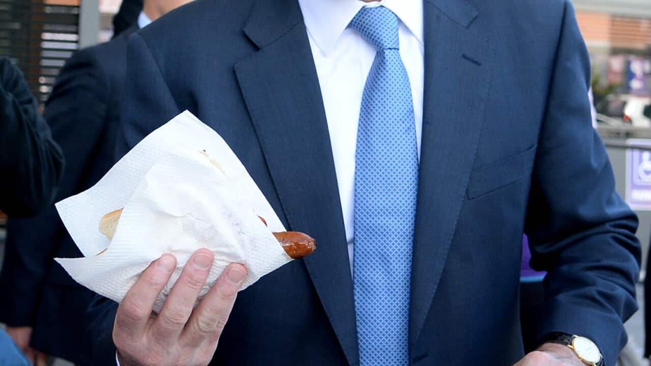 Prime Minister Tony Abbott  (AAP Image/Dan Himbrechts) 