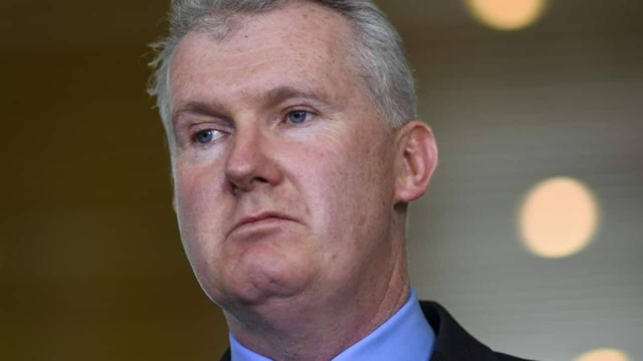 Labor's Tony Burke speaks at a press conference in Parliament House.