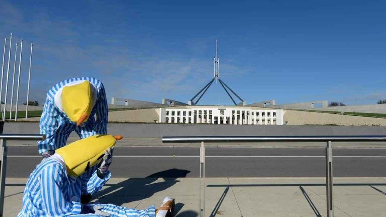 Bananas in Pyjamas outside Parliament House in Canberra
