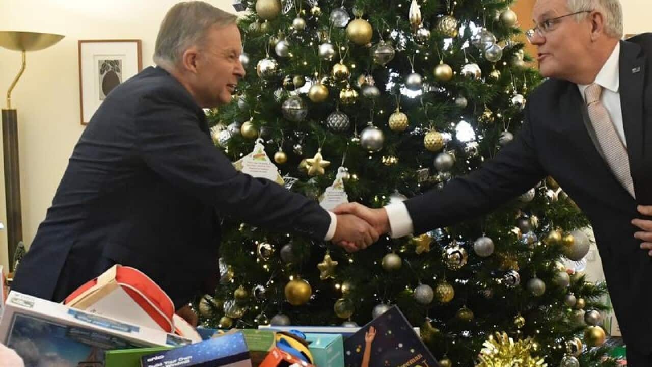 Anthony Albanese and Scott Morrison at a charity Christmas tree