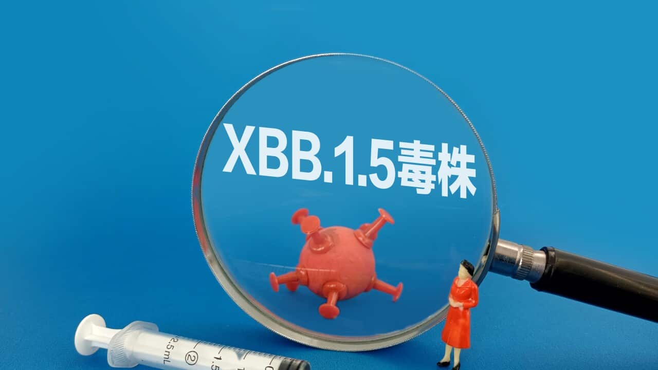 China: Illustration: XBB.1.5 Strain