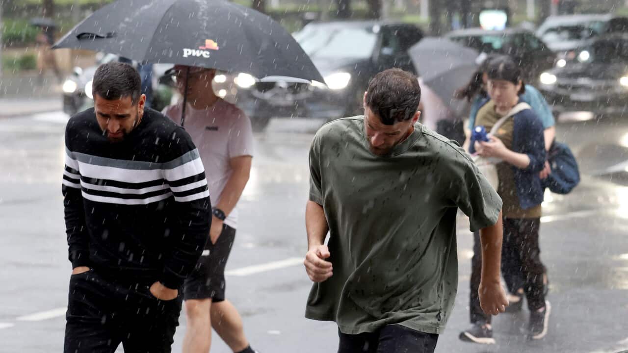 WET WEATHER SYDNEY