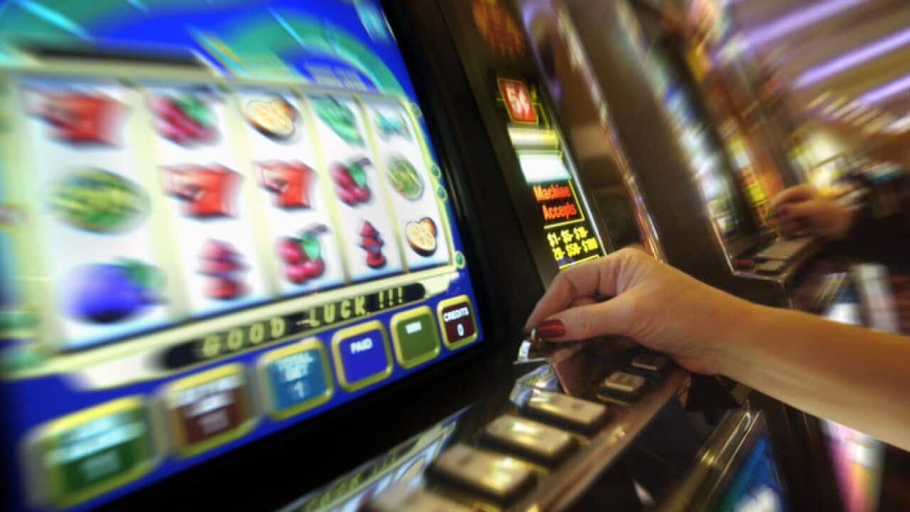 首都领地居民为打吃角子老虎机要穿州过省？ | SBS Chinese