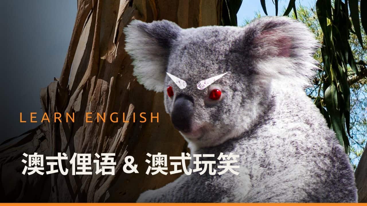 Image for read more article '观看系列视频'