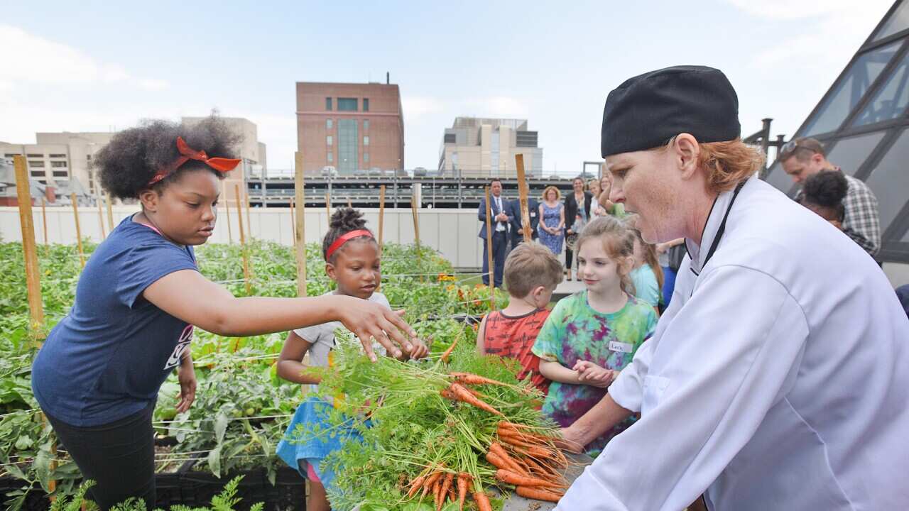 Youngsters at the Boston Medical Center Culinary Camp deliver harvested vegetables to Tracy Burg, Chief Dietician at The Food Demo Kitchen on Wednesday, July 12, 2017 during a harvest at The Boston Medical Center Rooftop Garden.