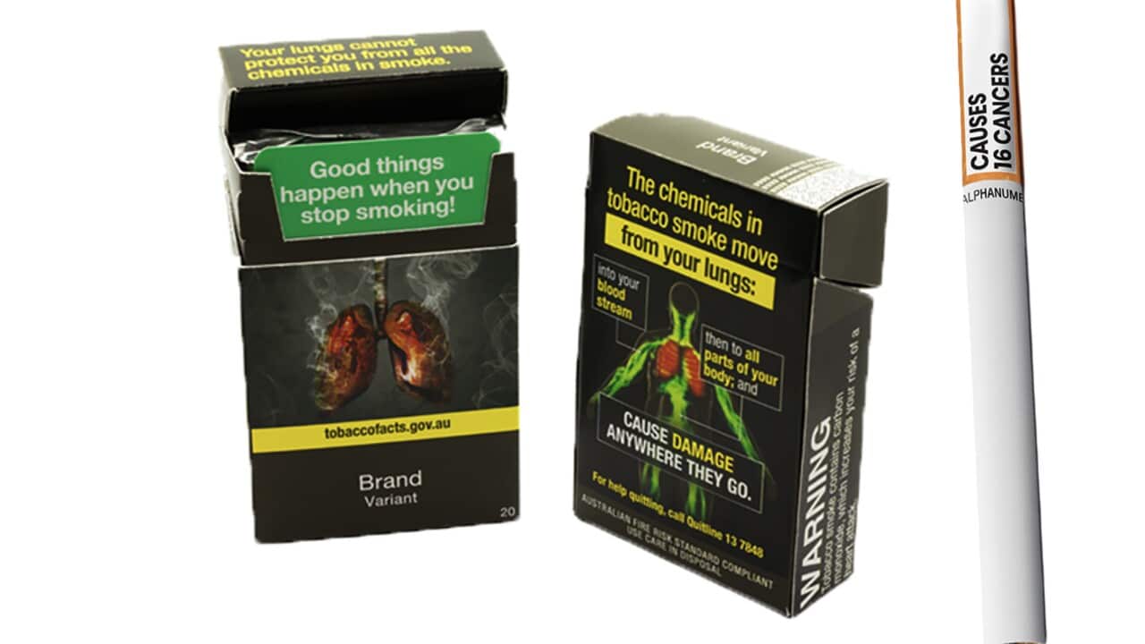 NEW TOBACCO PRODUCT PACKAGING