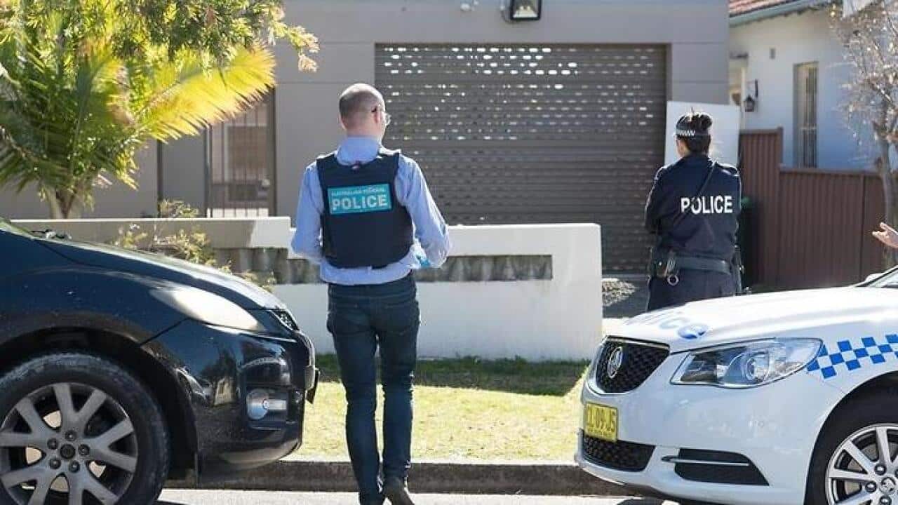 Dozens of illegal workers detained by border force officers at Perth strawberry farm