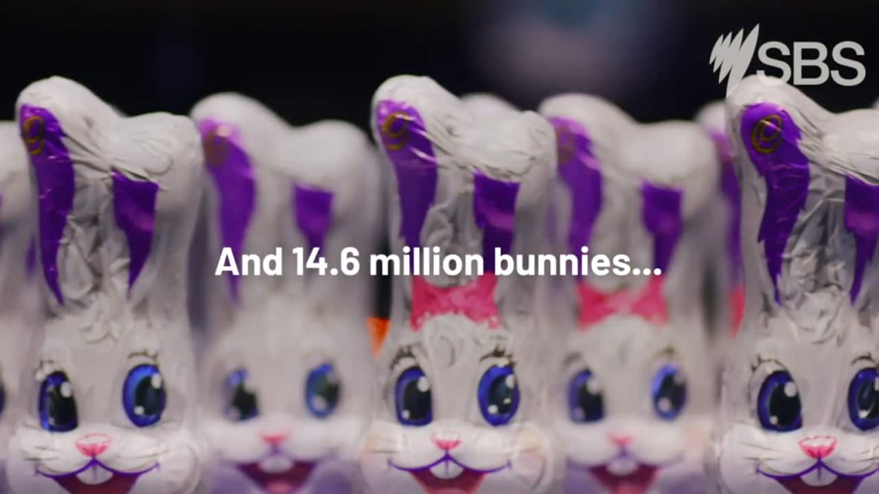 Image for read more article 'RECOMMENDED'