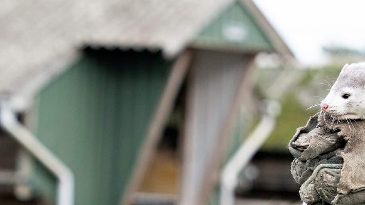 Image for read more article 'เรื่องอื่นๆ ที่น่าสนใจ'