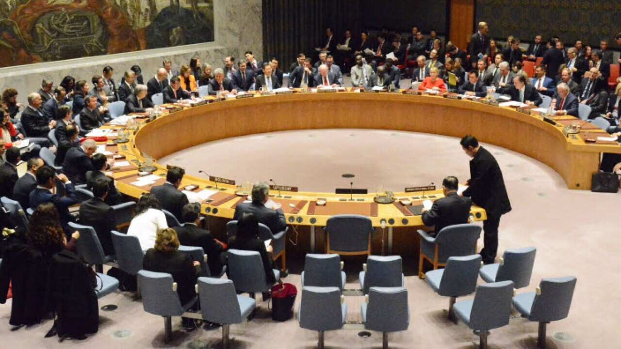 Security Council