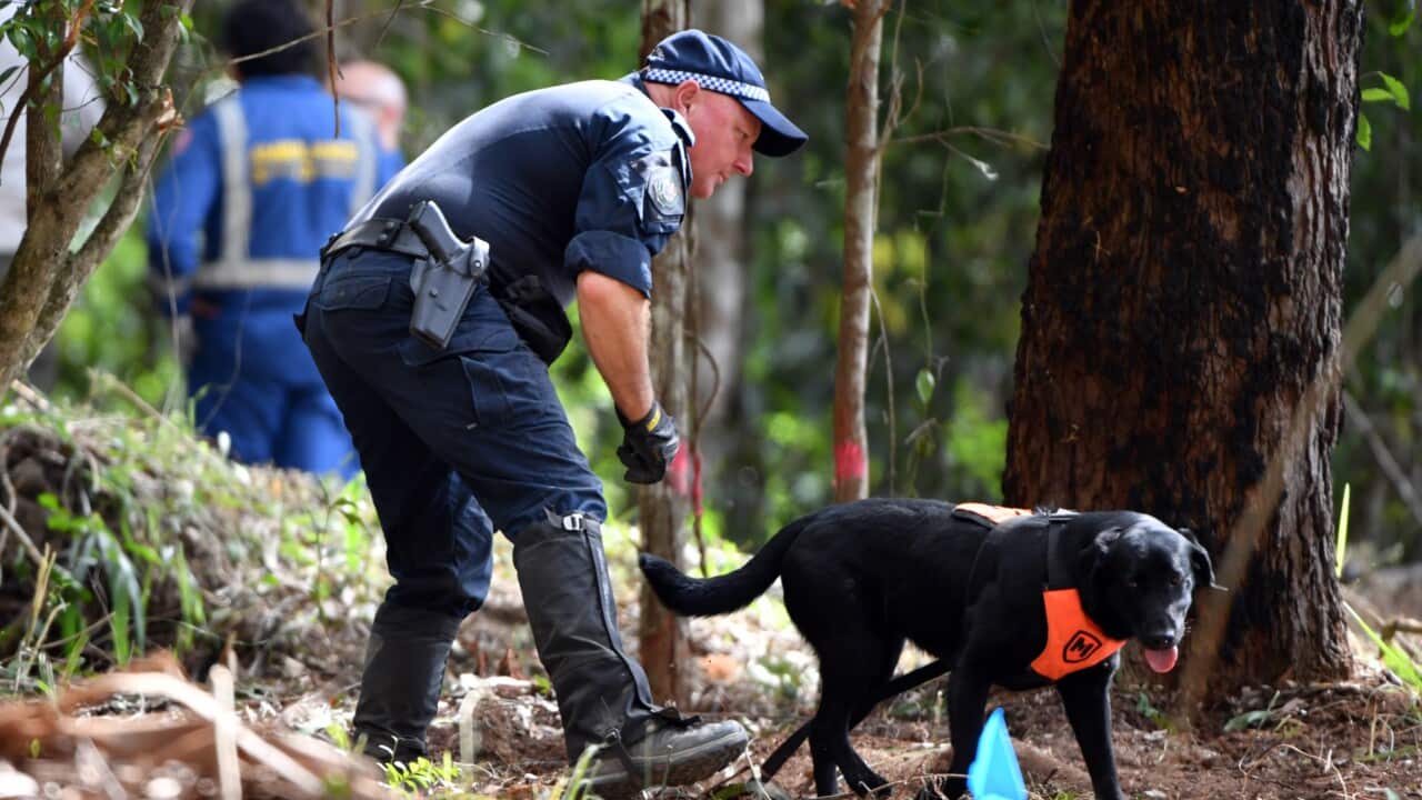 Crime fell during NSW COVID lockdown