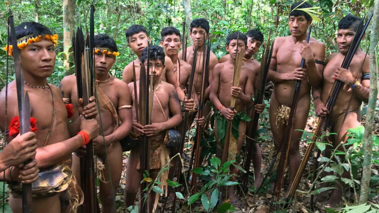 Young men from Brazil's Awa tribe, one of the most endangered groups on Earth (Getty)