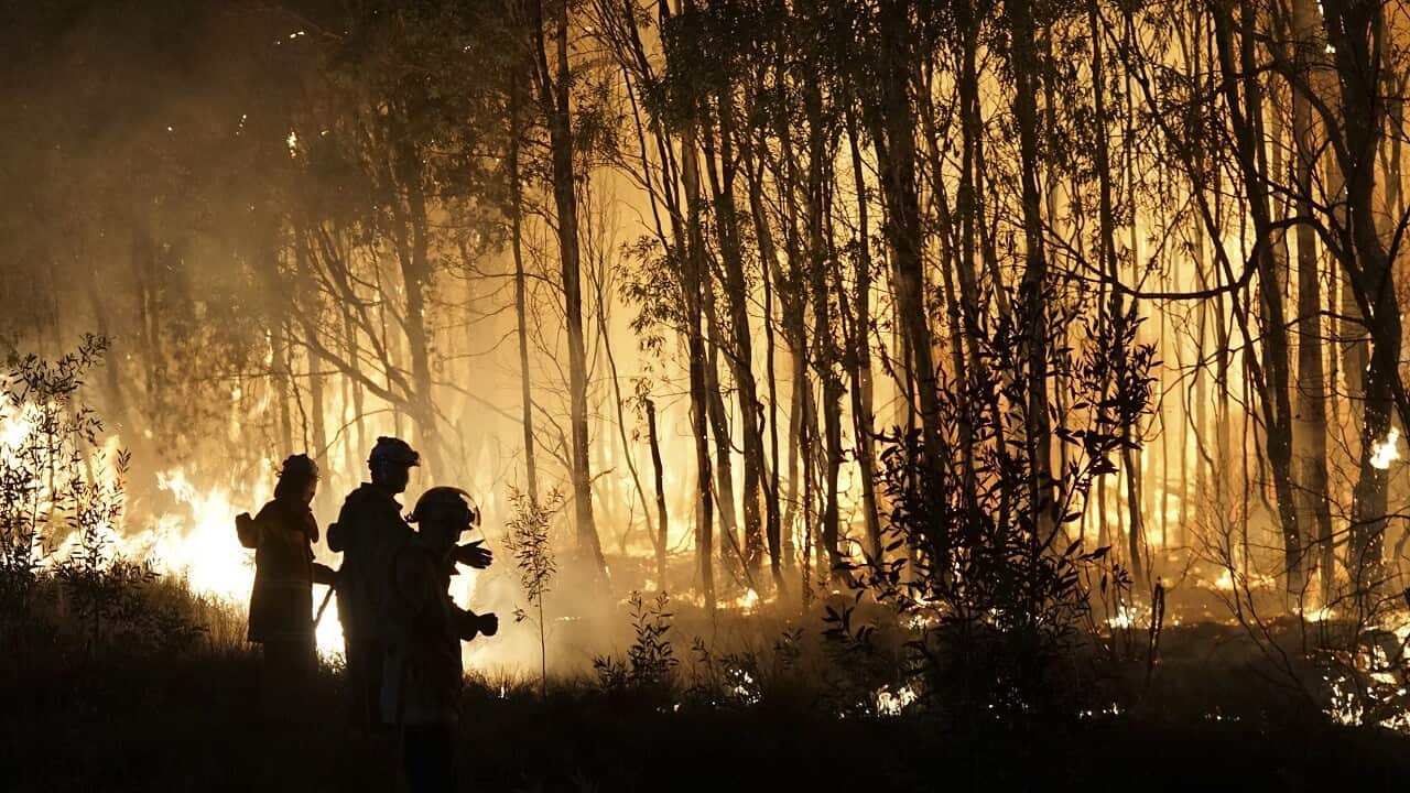 The November fires in Deepwater National Park, Queensland.