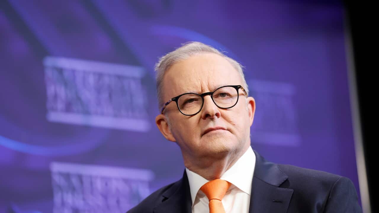 Il primo ministro Anthony Albanese.