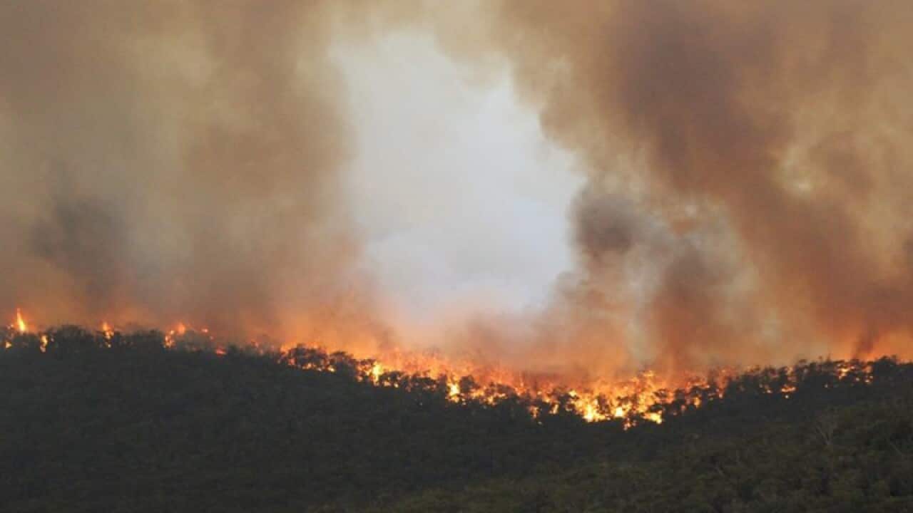 fires burning throughout Victoria's Grampians region
